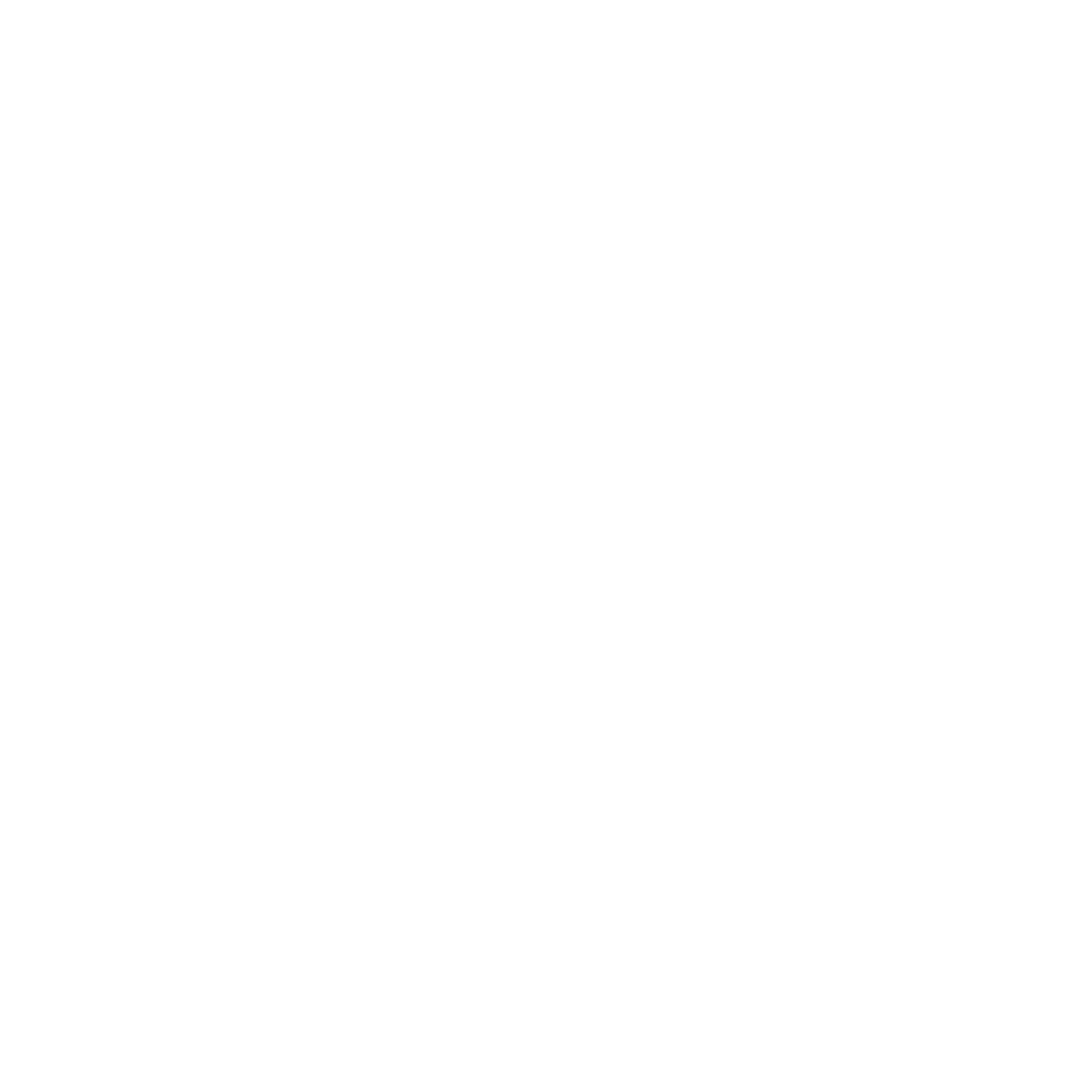 Logo Bianco
