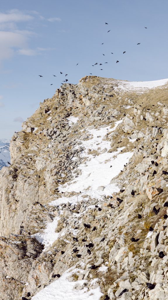 Rifugio-Lagazuoi-Dolomites-Italy-Elopement-Photographer