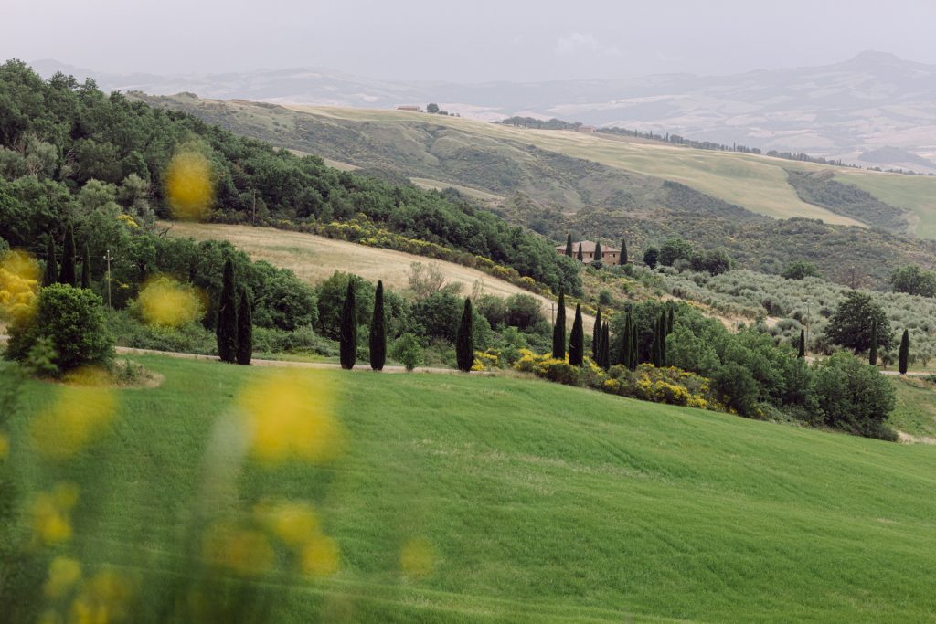 A lone farmhouse and cypresses in the Val d'Orcia, Tuscany