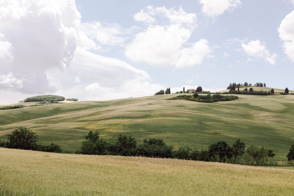 Golden summer light over the Val d'Orcia hills, Tuscany