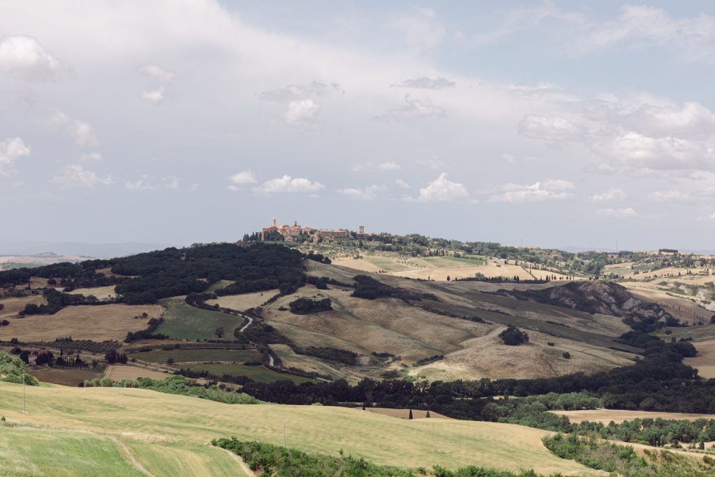 Ripening wheat fields across the hills of the Val d'Orcia in summer, Tuscany