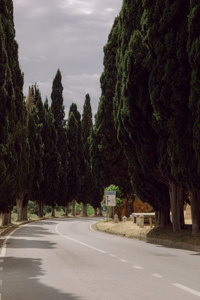 A quiet country road winding through the Val d'Orcia, Tuscany