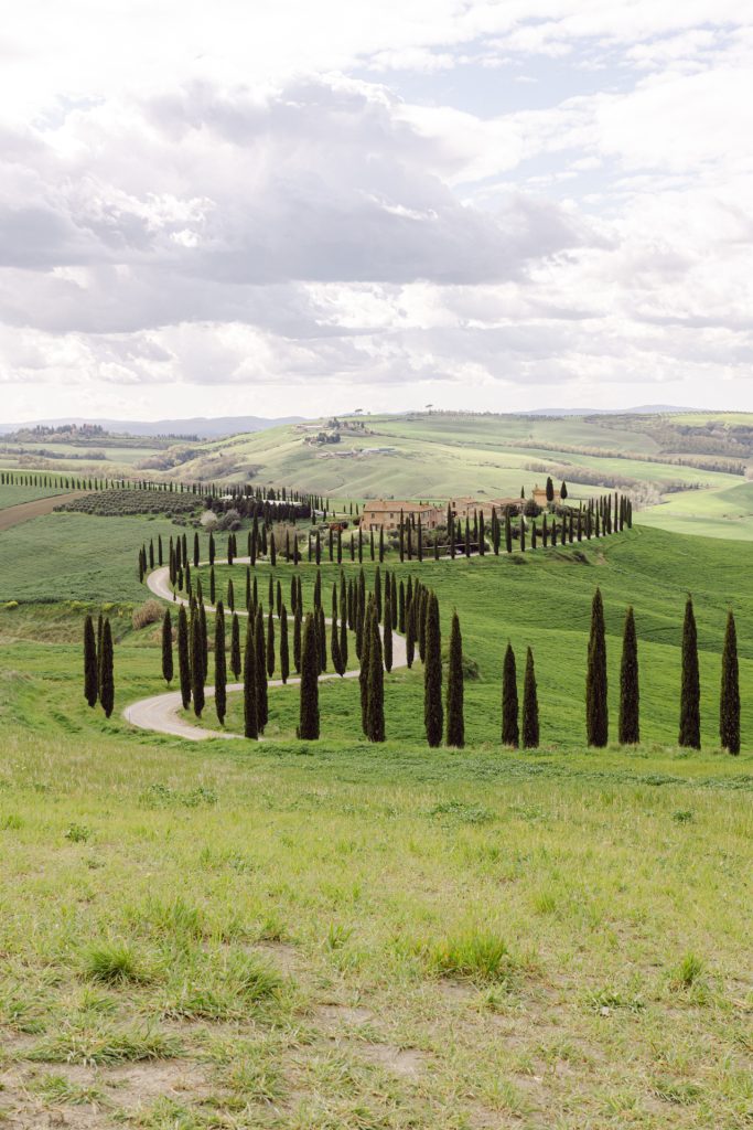 A lone farmhouse and cypresses in the Val d'Orcia, Tuscany